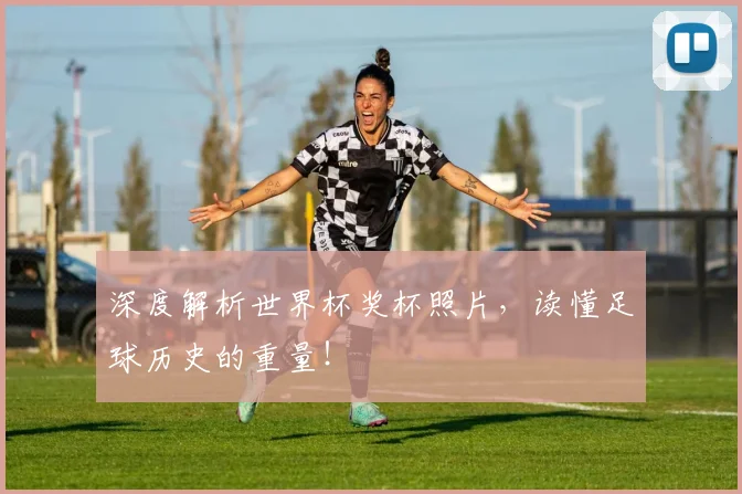 深度解析世界杯奖杯照片,读懂足球历史的重量!