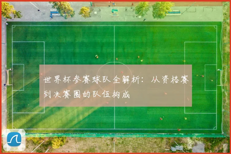 世界杯参赛球队全解析:从资格赛到决赛圈的队伍构成