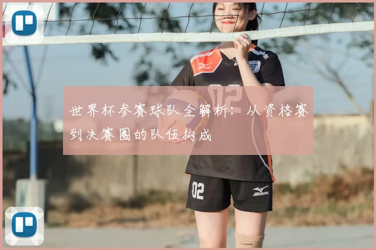 世界杯参赛球队全解析:从资格赛到决赛圈的队伍构成