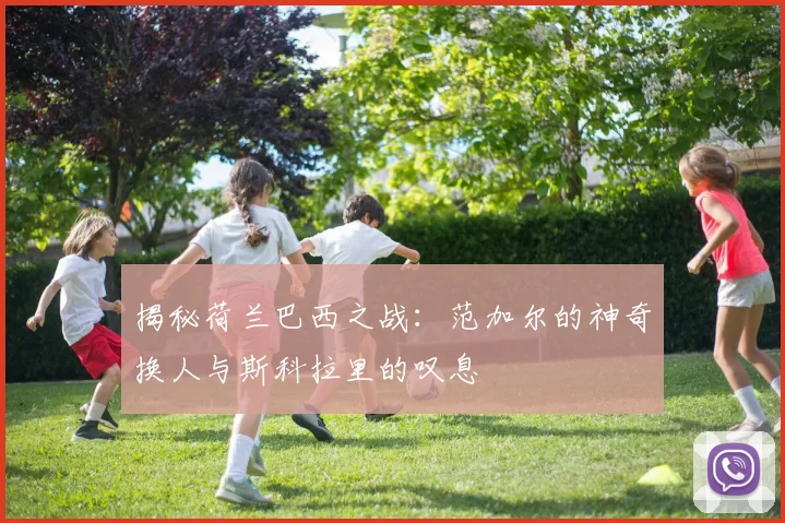 揭秘荷兰巴西之战：范加尔的神奇换人与斯科拉里的叹息