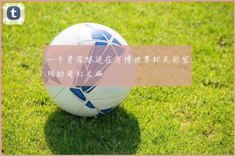 一个资深球迷在万博世界杯足彩官网的奇幻之旅