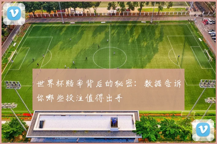 世界杯赔率背后的秘密:数据告诉你哪些投注值得出手