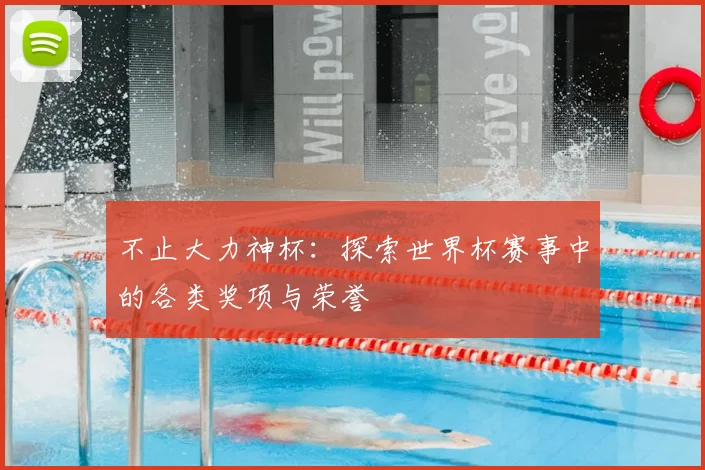 不止大力神杯:探索世界杯赛事中的各类奖项与荣誉