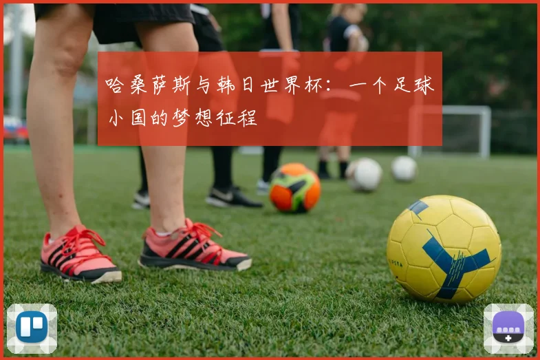 哈桑萨斯与韩日世界杯:一个足球小国的梦想征程