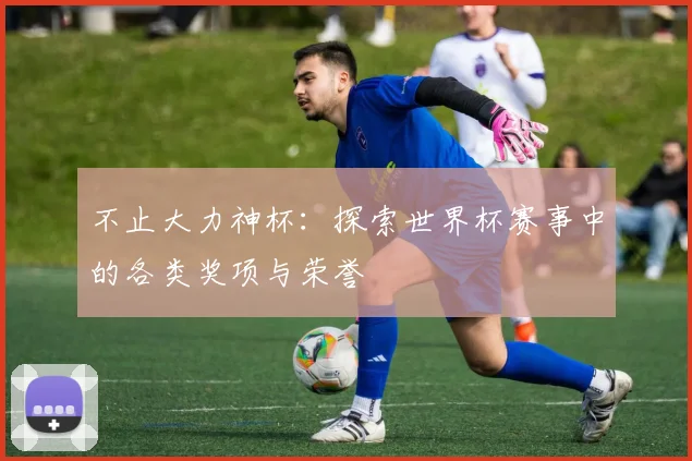 不止大力神杯:探索世界杯赛事中的各类奖项与荣誉