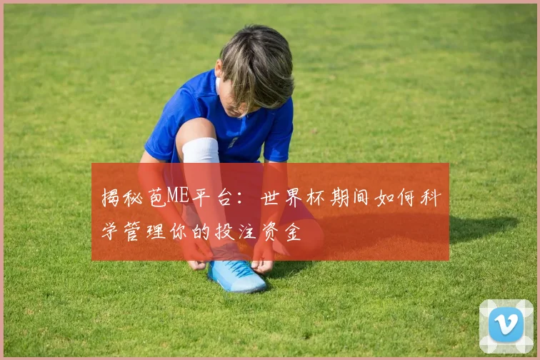 揭秘苞ME平台：世界杯期间如何科学管理你的投注资金