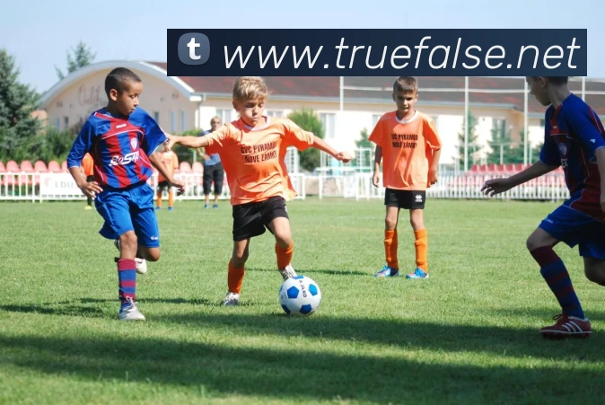 华体在线登录入口平台生态图