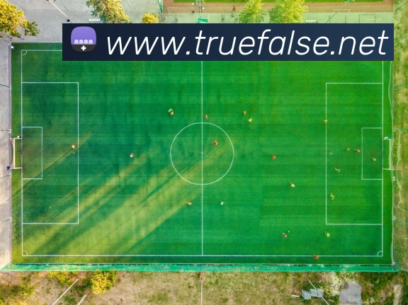 辅助工具 辅助工具